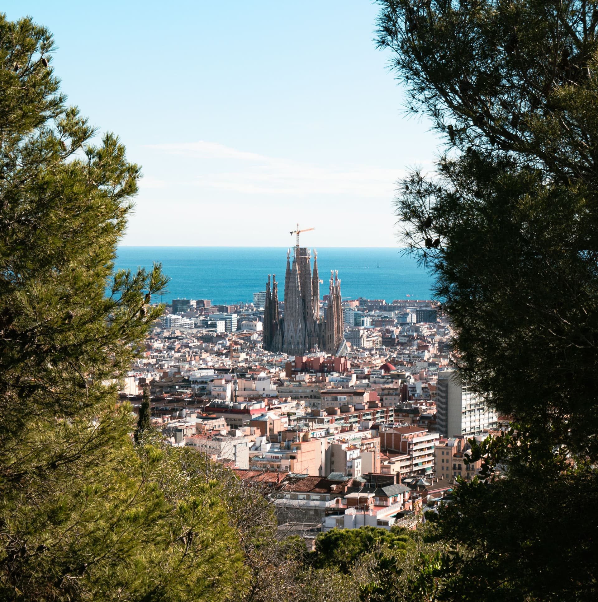 Servicio completo de venta en Barcelona