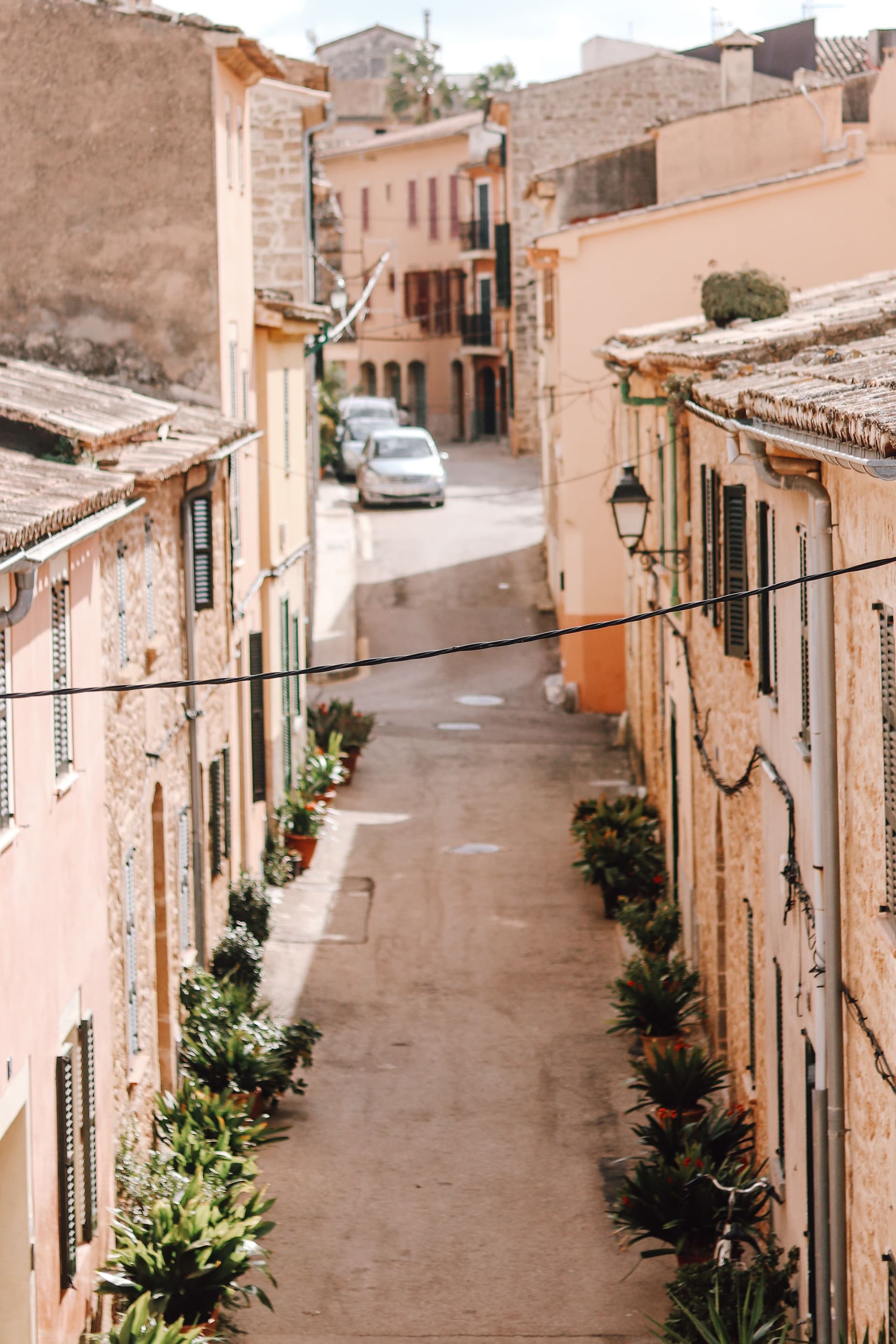 Servicios inmobiliarios en Palma de Mallorca
